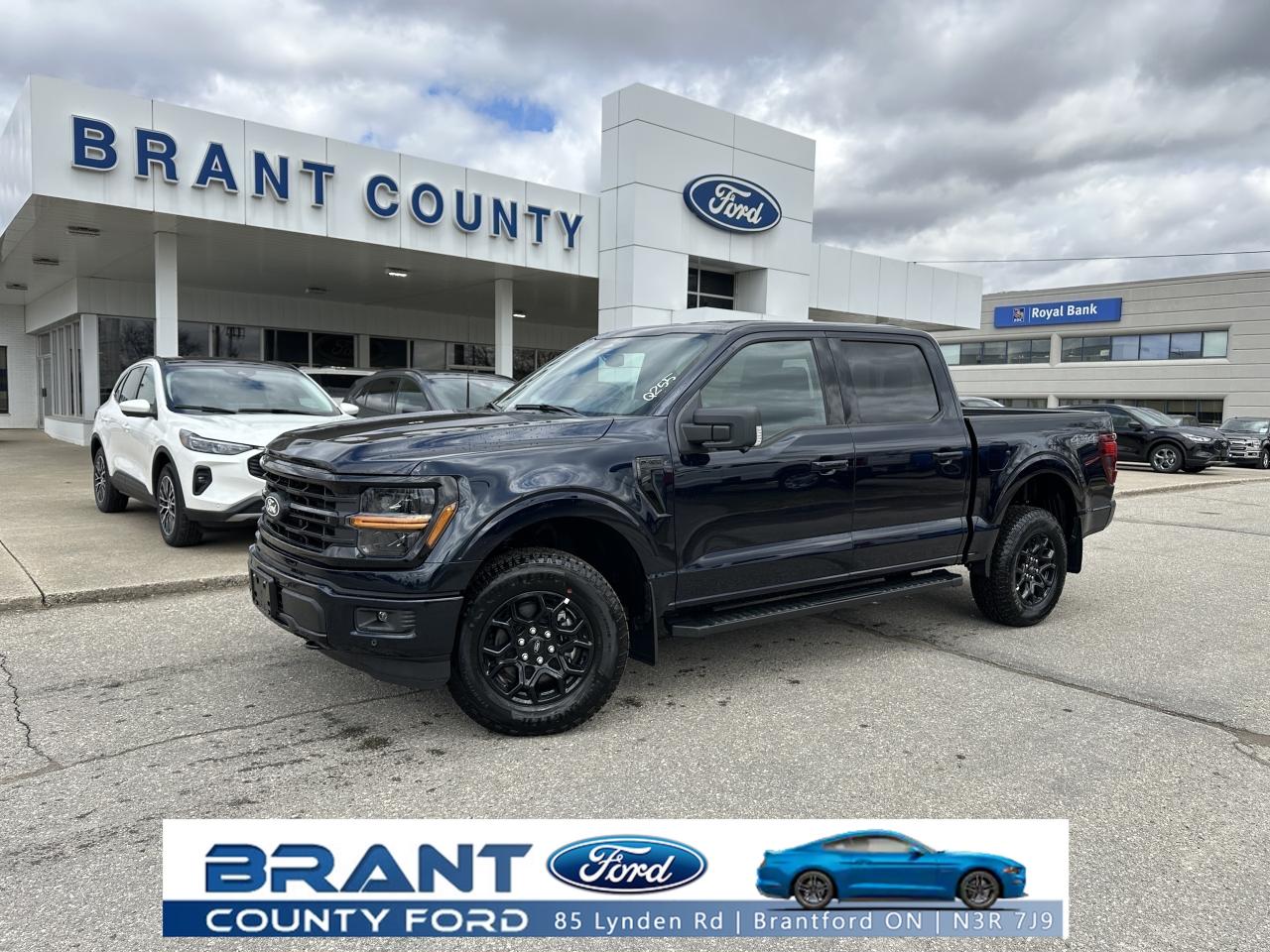 2025 Ford F-150 XLT Photo0