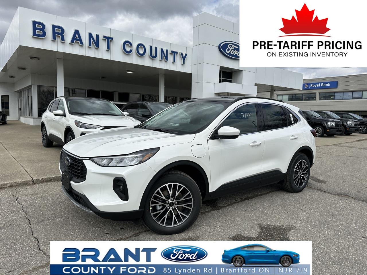 New 2025 Ford Escape PHEV for sale in Brantford, ON