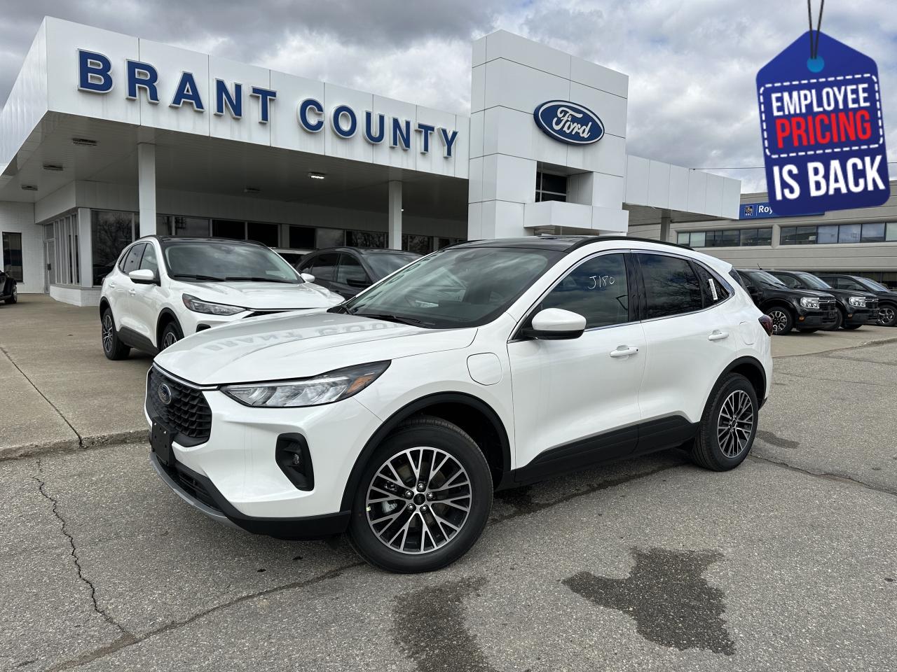 New 2025 Ford Escape PHEV for sale in Brantford, ON