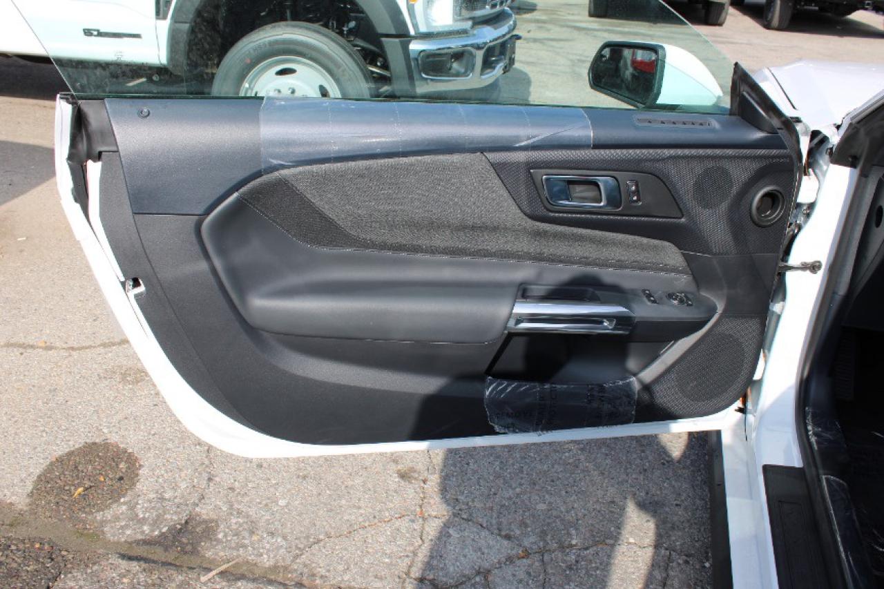 2025 Ford Mustang GT Fastback Photo