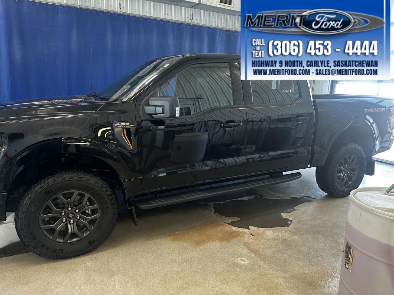 2025 Ford F-150 Tremor - Adaptive Cruise + MORE Photo0