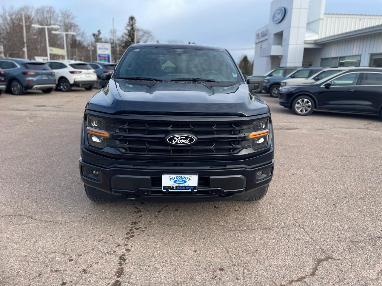 2025 Ford F-150 XLT Photo1