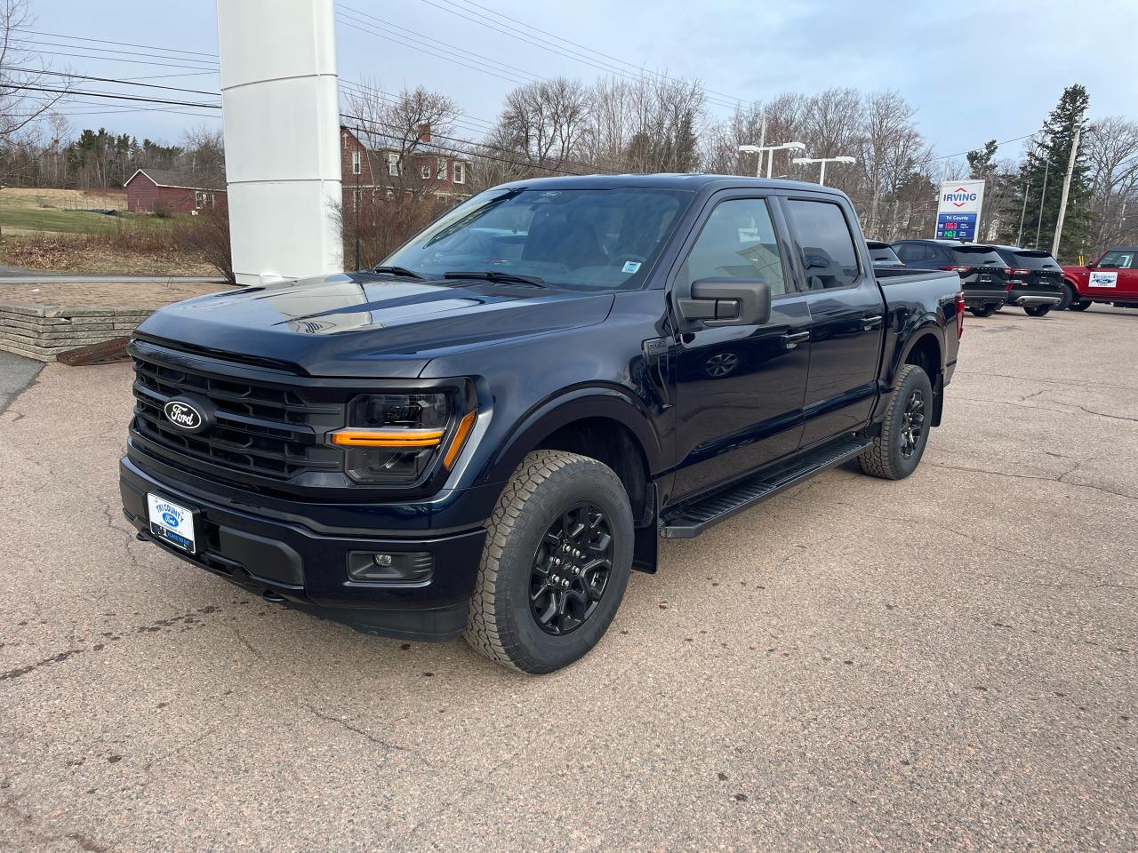 2025 Ford F-150 XLT Photo2