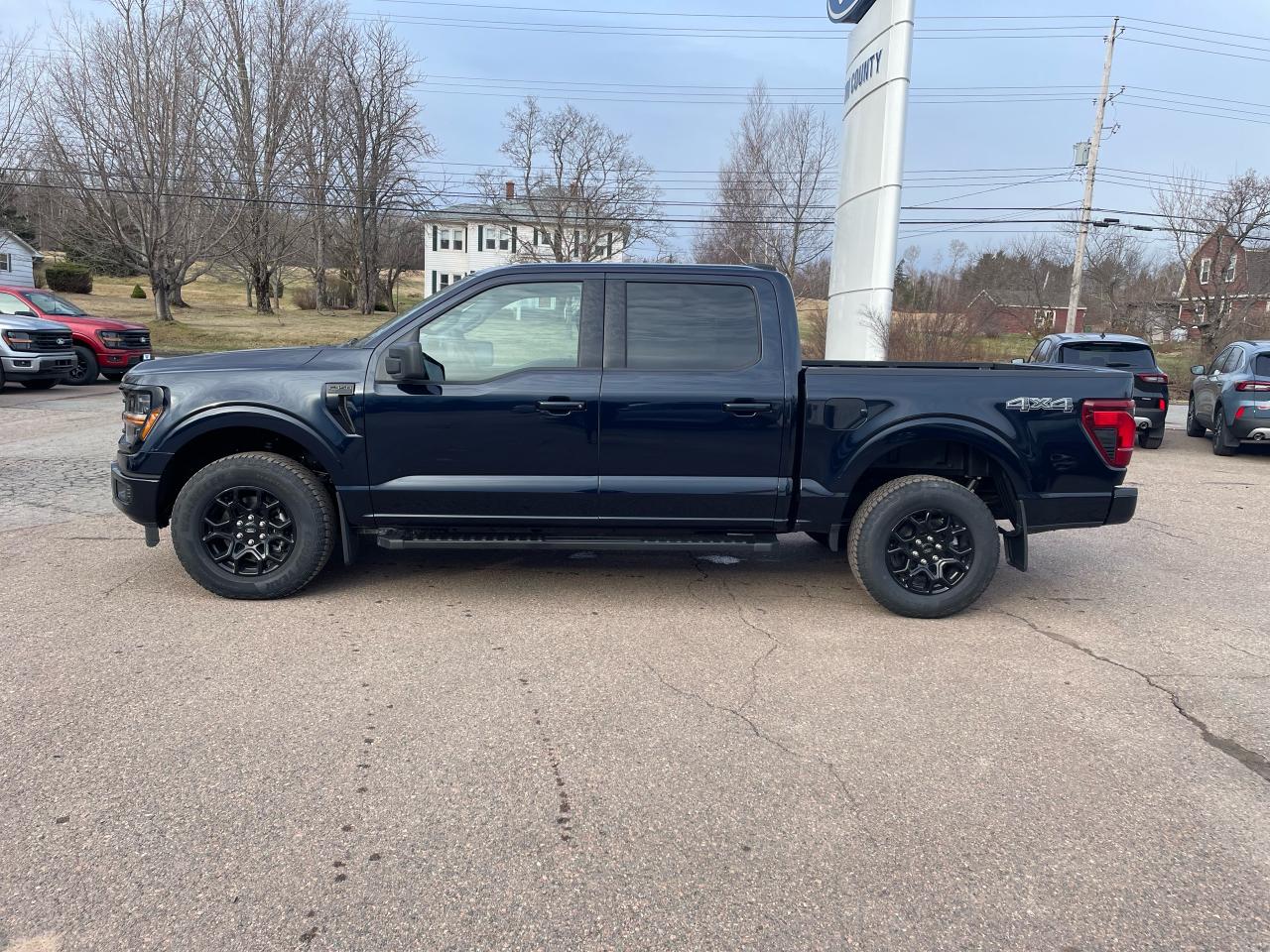 2025 Ford F-150 XLT Photo3
