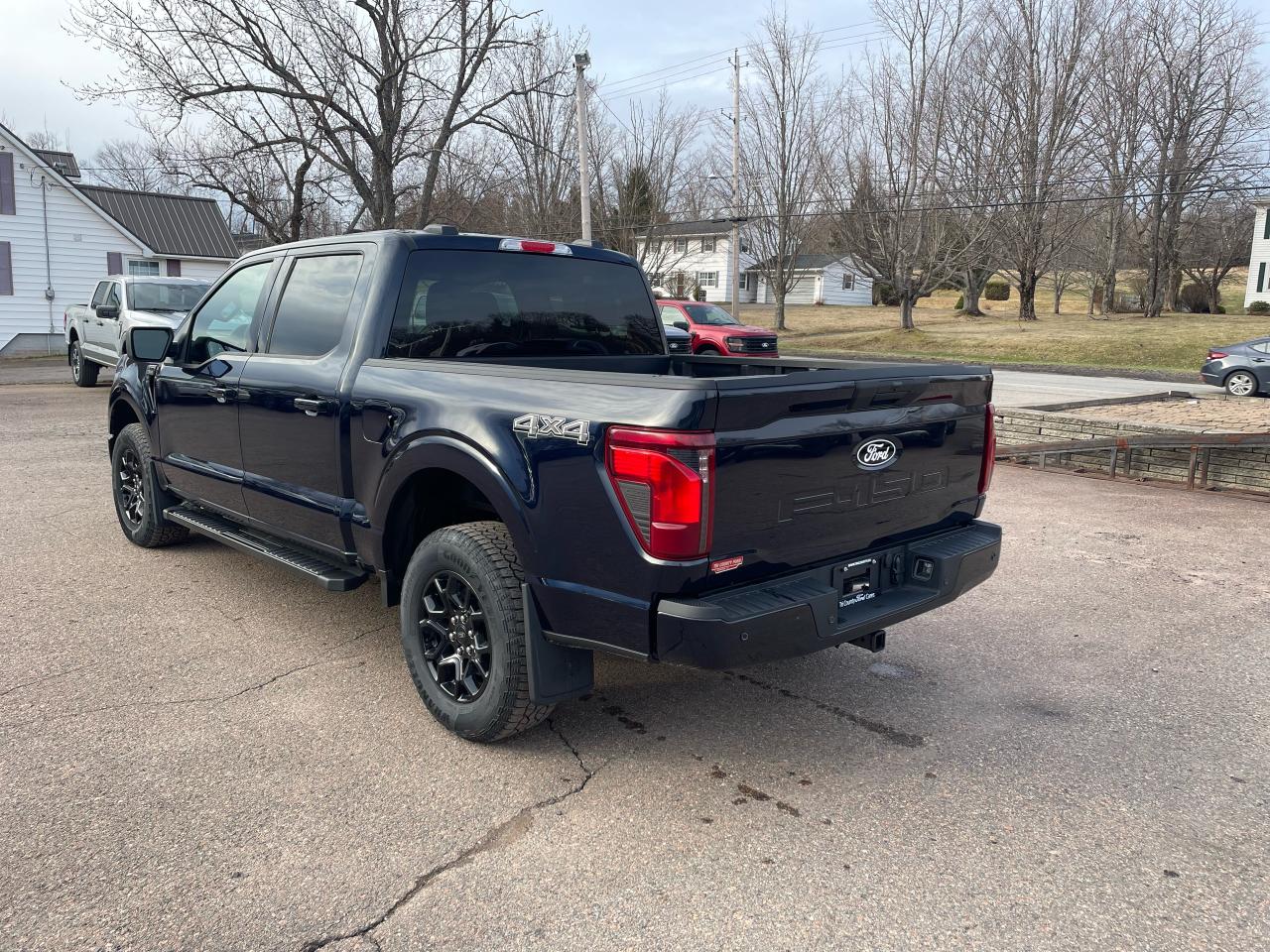 2025 Ford F-150 XLT Photo4