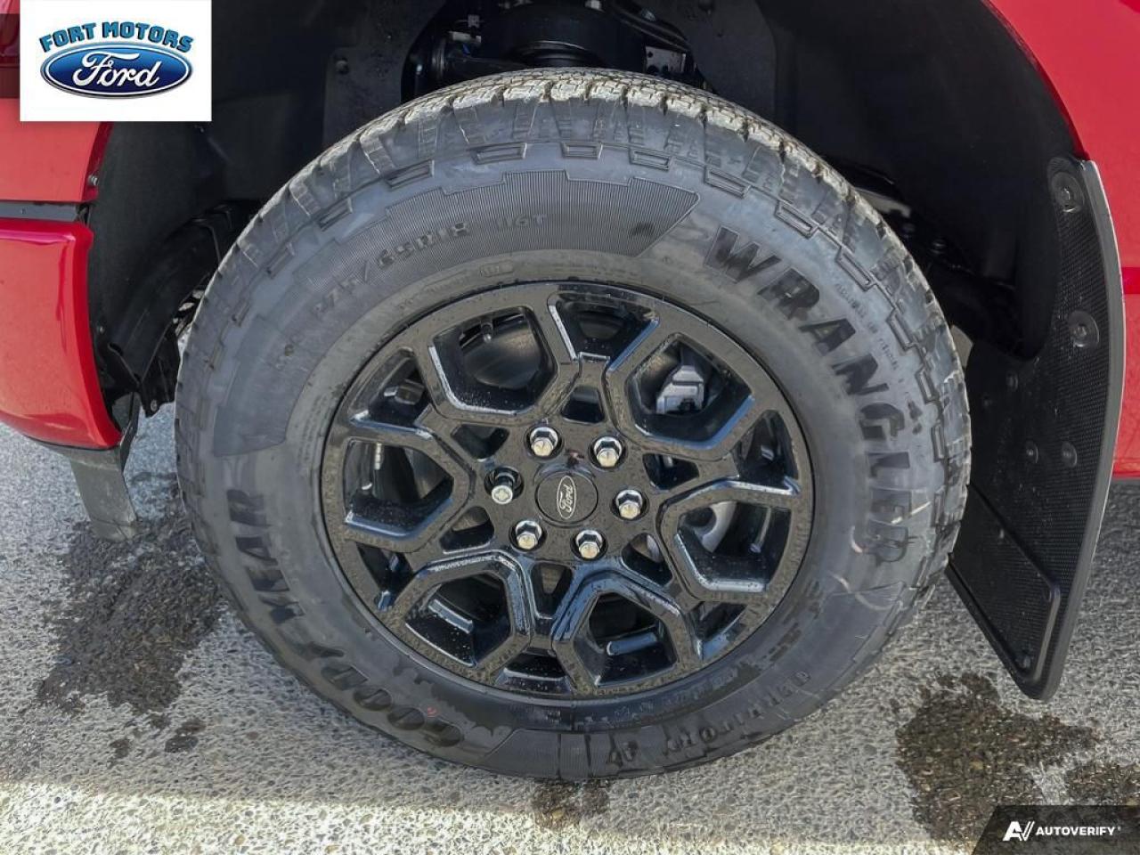 2025 Ford F-150 XLT Photo5