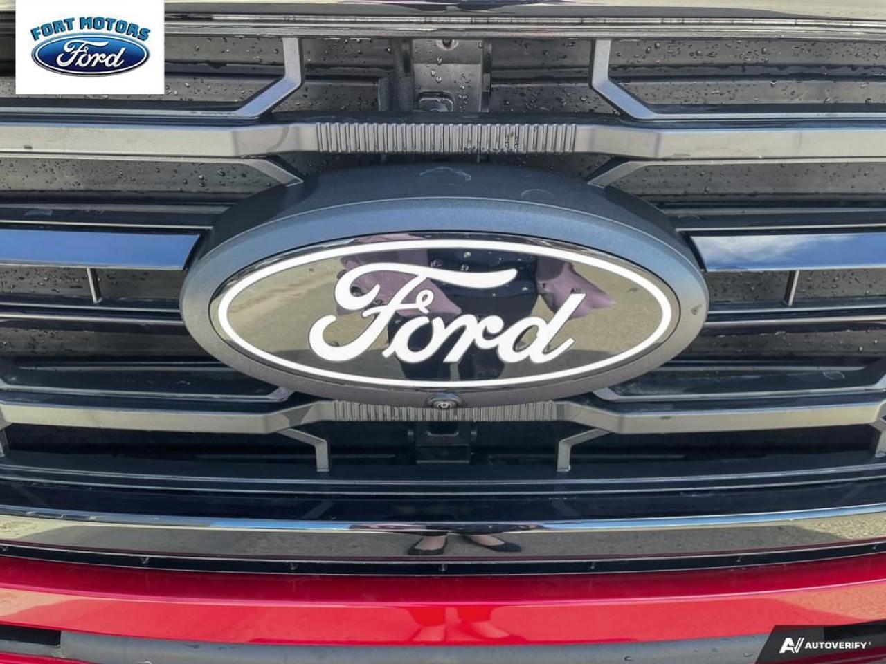 2025 Ford F-150 XLT Photo5