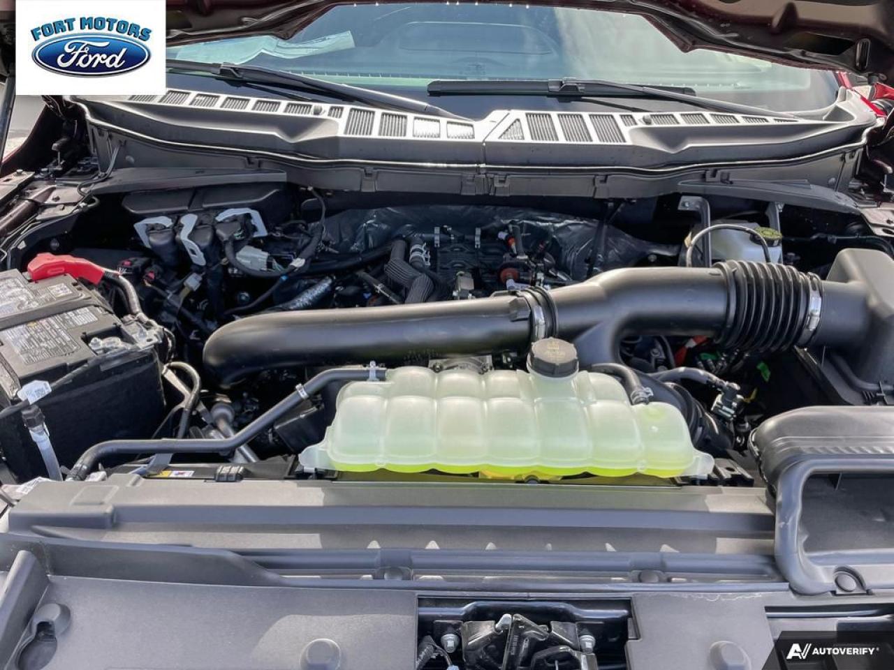 2025 Ford F-150 XLT Photo5