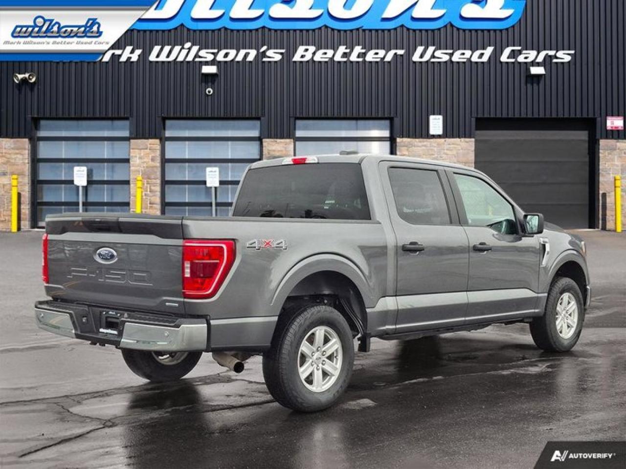 2023 Ford F-150 XLT Crew 4X4 | 3.5L EcoBoost | Power Seat | CarPlay + Android | Rear Camera | and more! Photo4