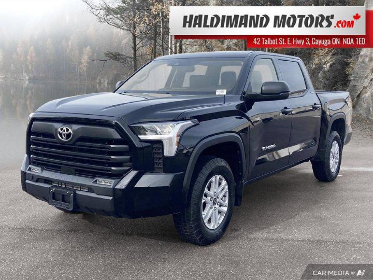 Used 2022 Toyota Tundra SR for sale in Cayuga, ON
