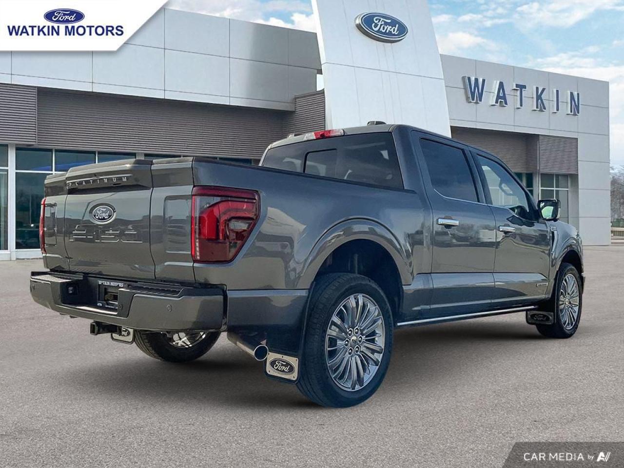 2024 Ford F-150 SUPERCREW 4X4 Platinum Photo4