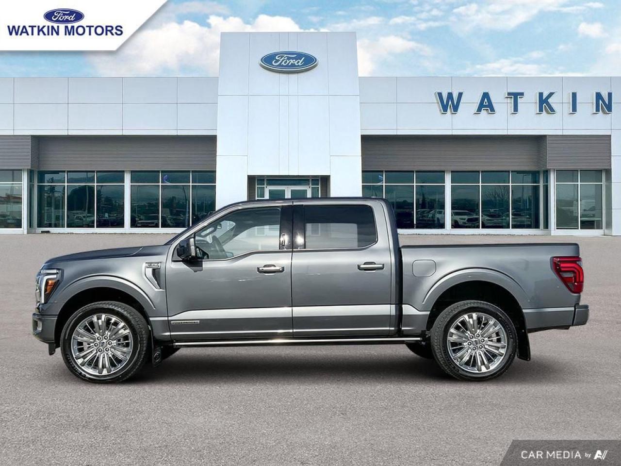 2024 Ford F-150 PLATINUM Photo1