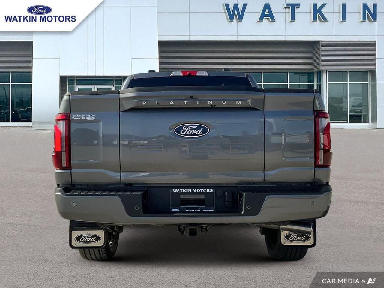 2024 Ford F-150 PLATINUM Photo3