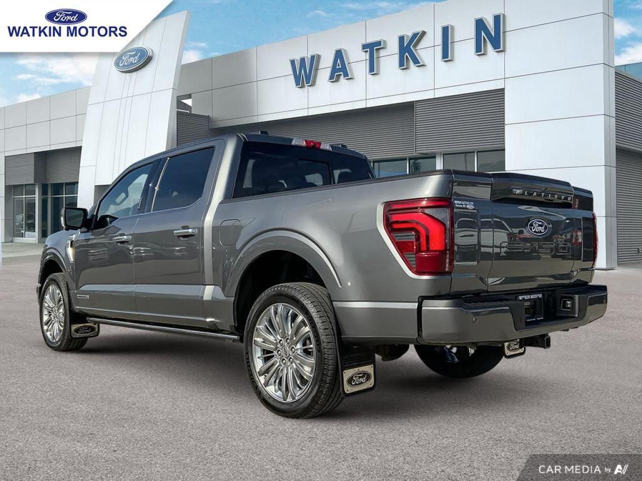 2024 Ford F-150 PLATINUM Photo2