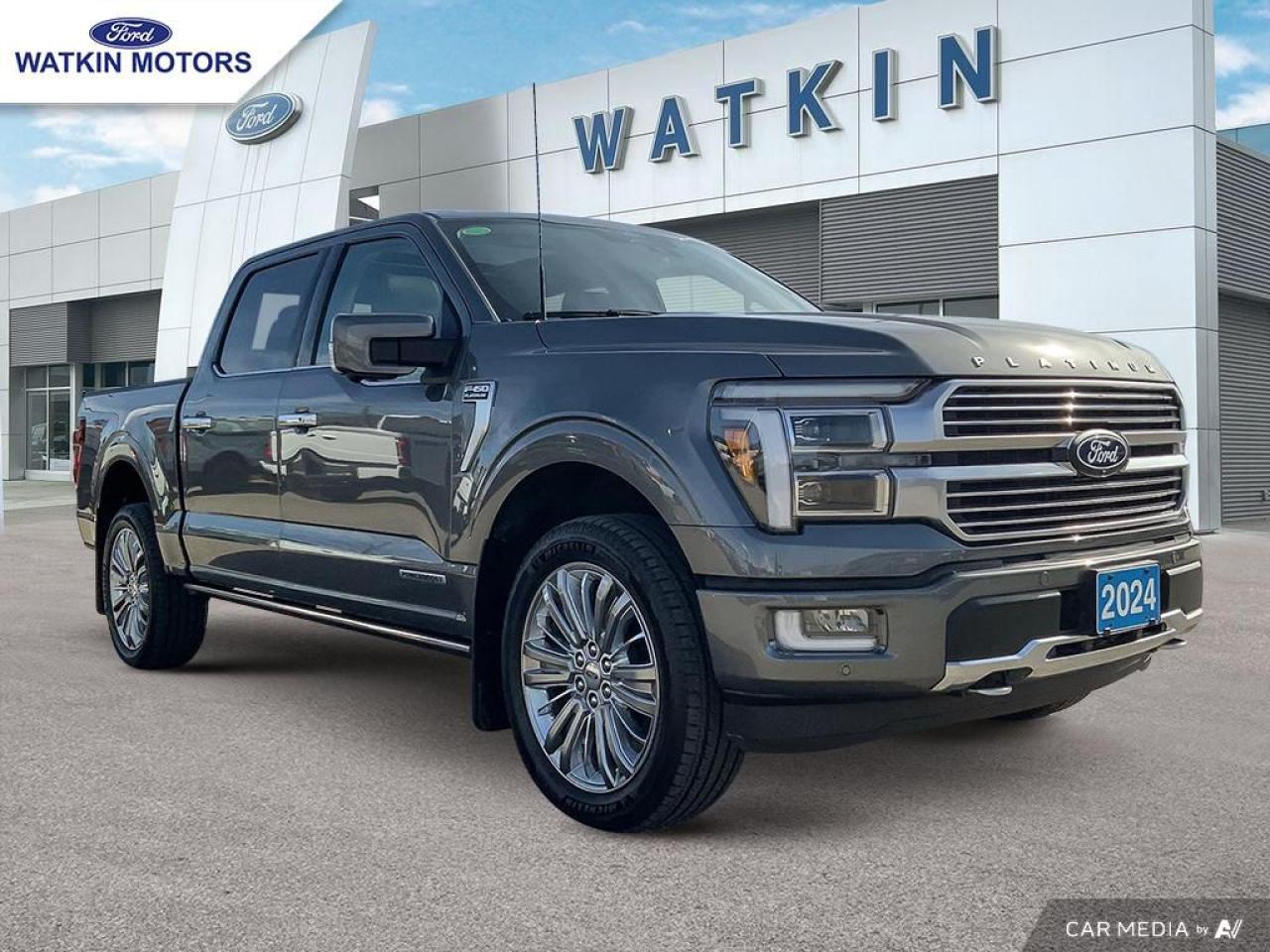 2024 Ford F-150 PLATINUM Photo6