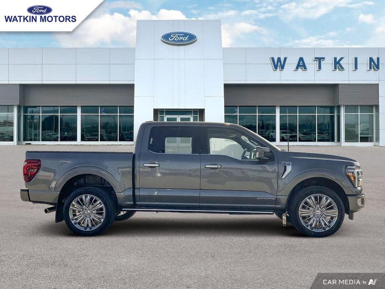 2024 Ford F-150 PLATINUM Photo5