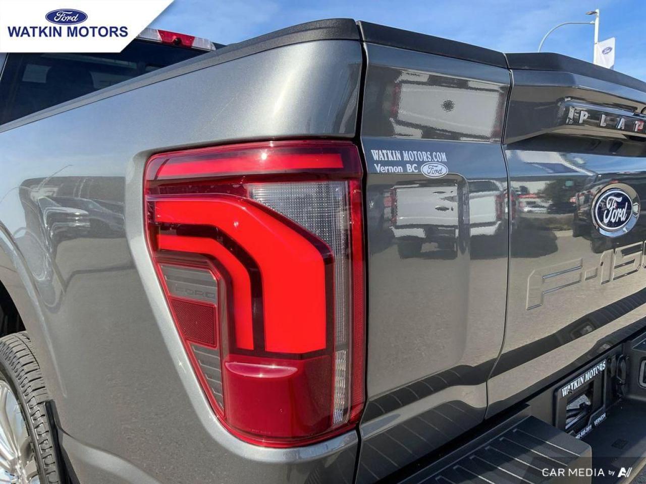 2024 Ford F-150 PLATINUM Photo13
