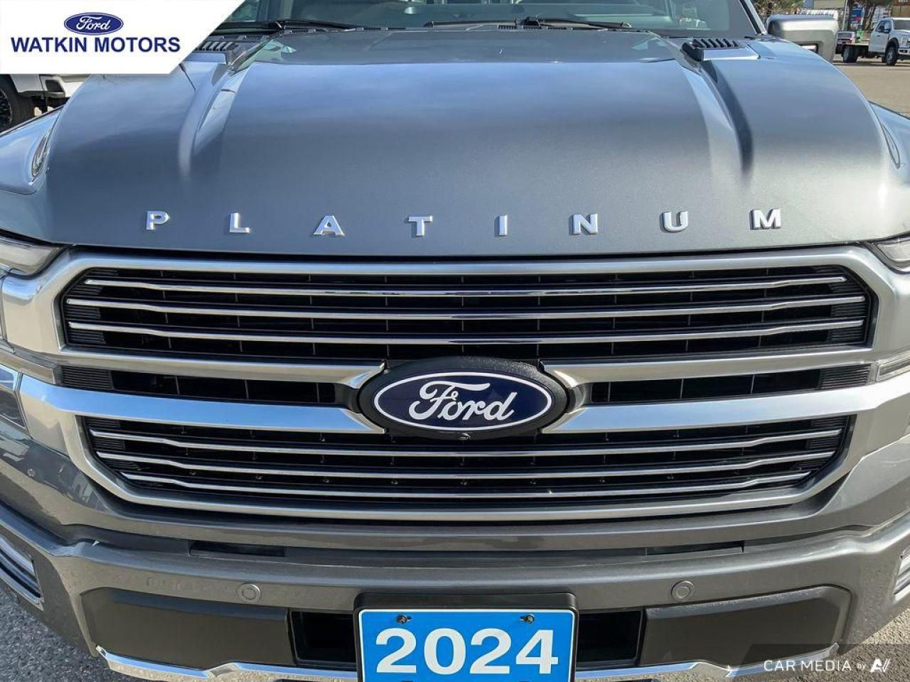 2024 Ford F-150 PLATINUM Photo11