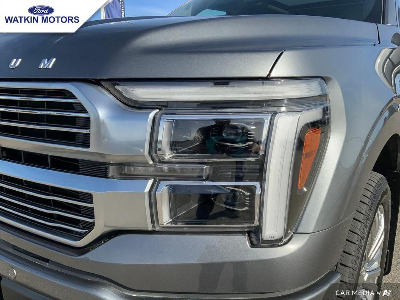 2024 Ford F-150 PLATINUM Photo10
