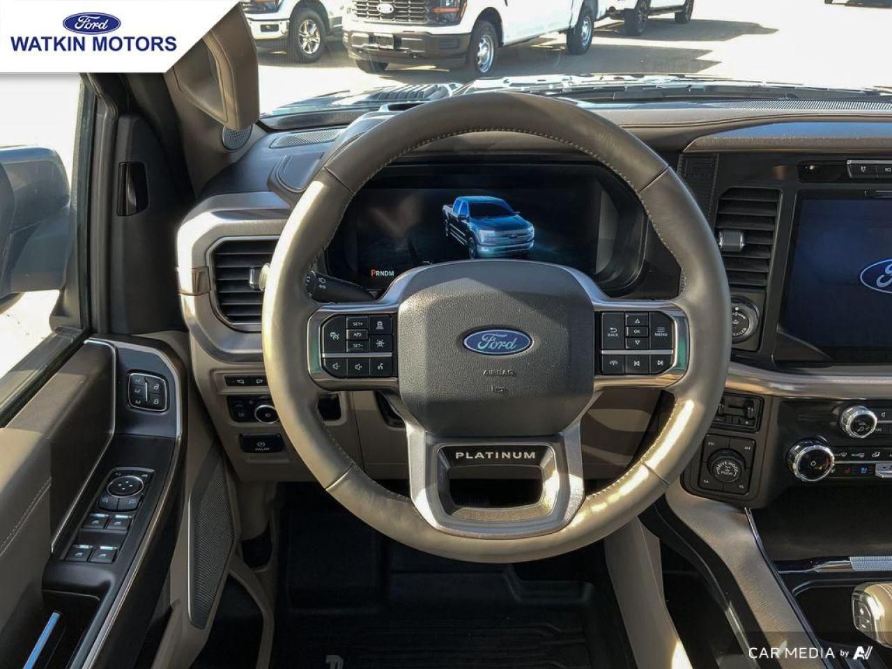 2024 Ford F-150 PLATINUM Photo16