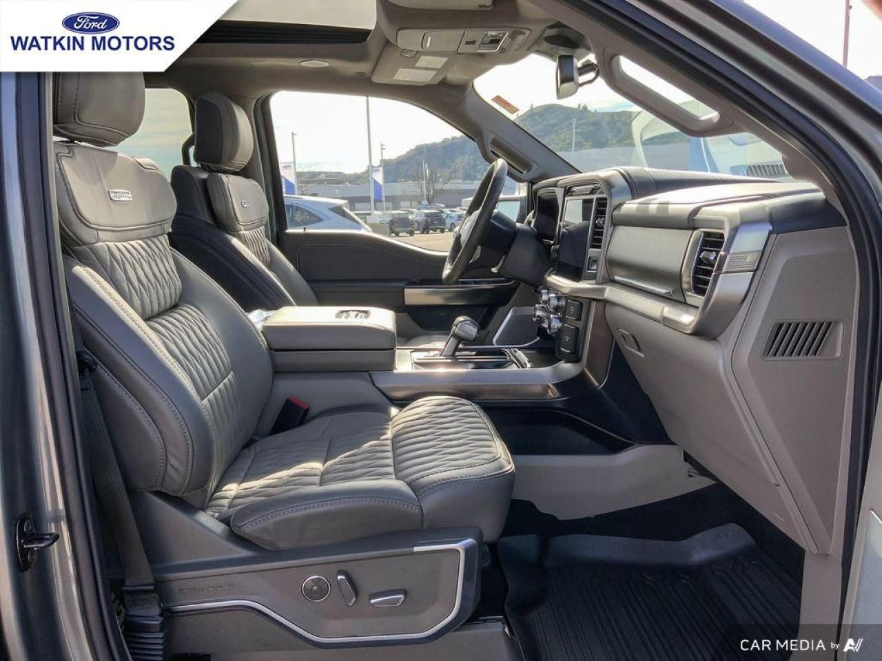 2024 Ford F-150 PLATINUM Photo24