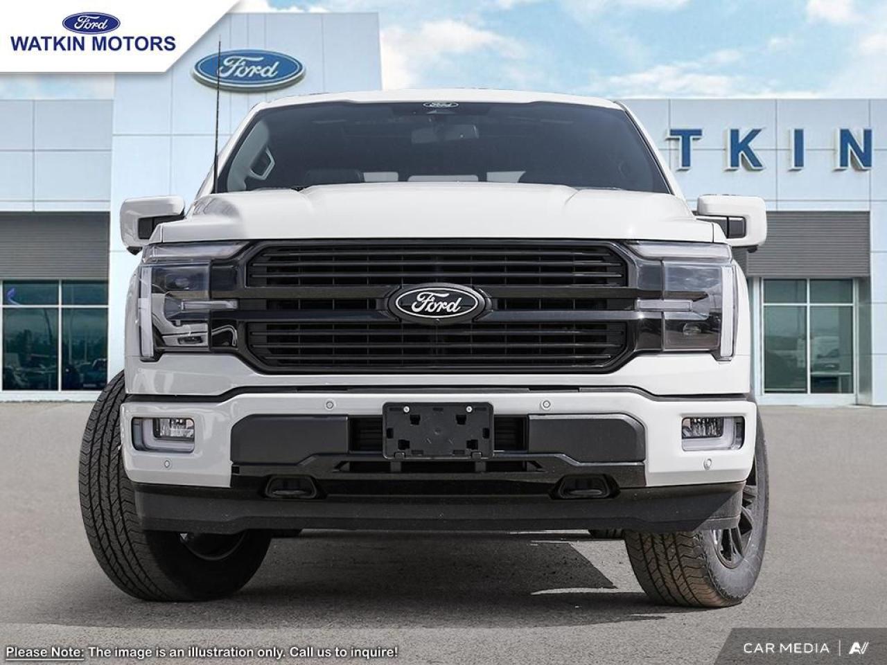 2025 Ford F-150 PLATINUM Photo24