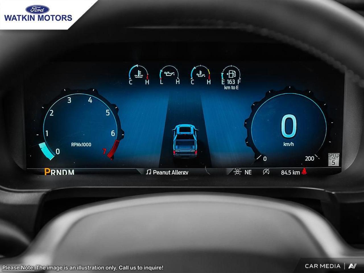 2025 Ford F-150 PLATINUM Photo13