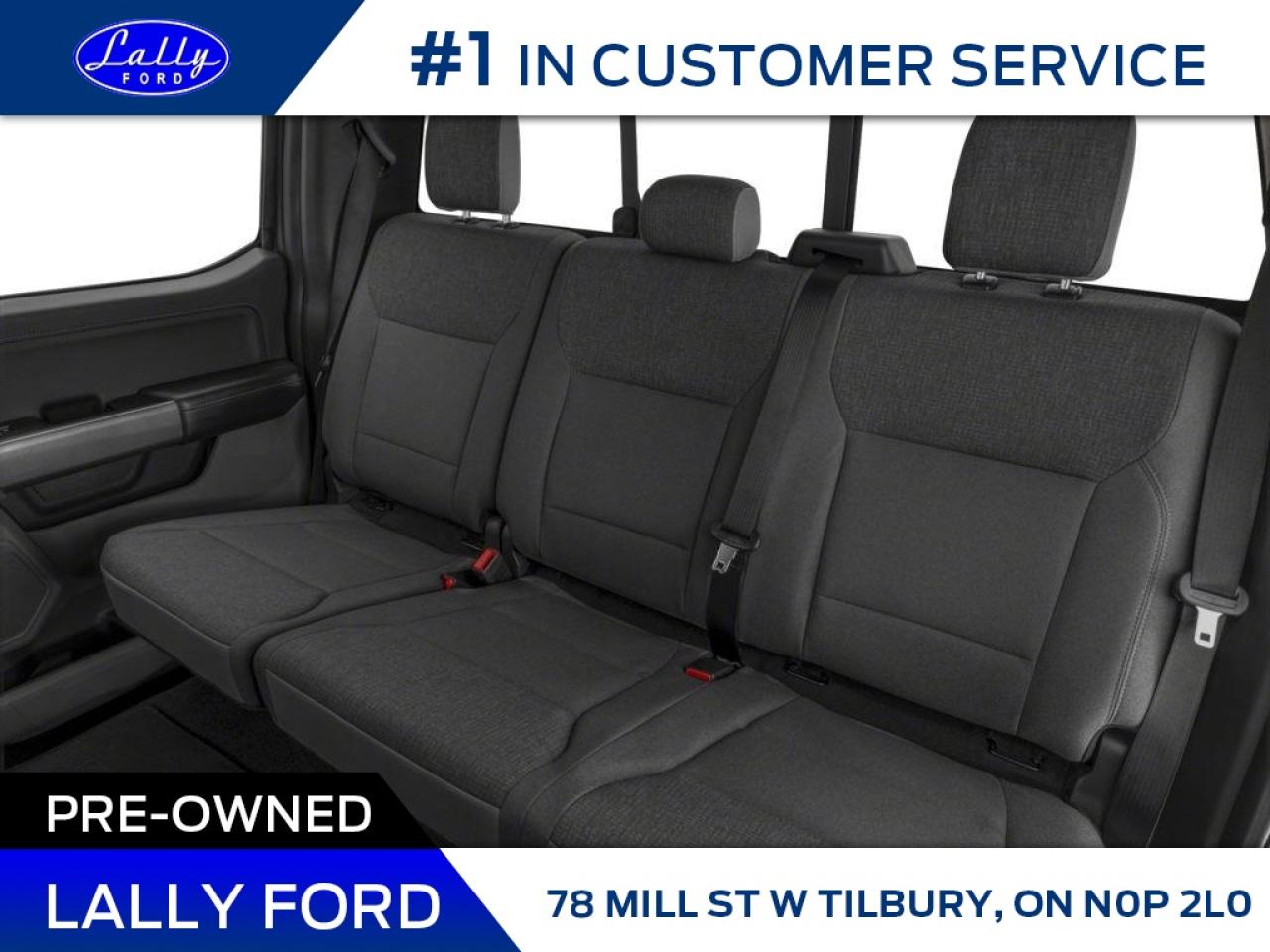 2025 Ford F-150 XLT Photo