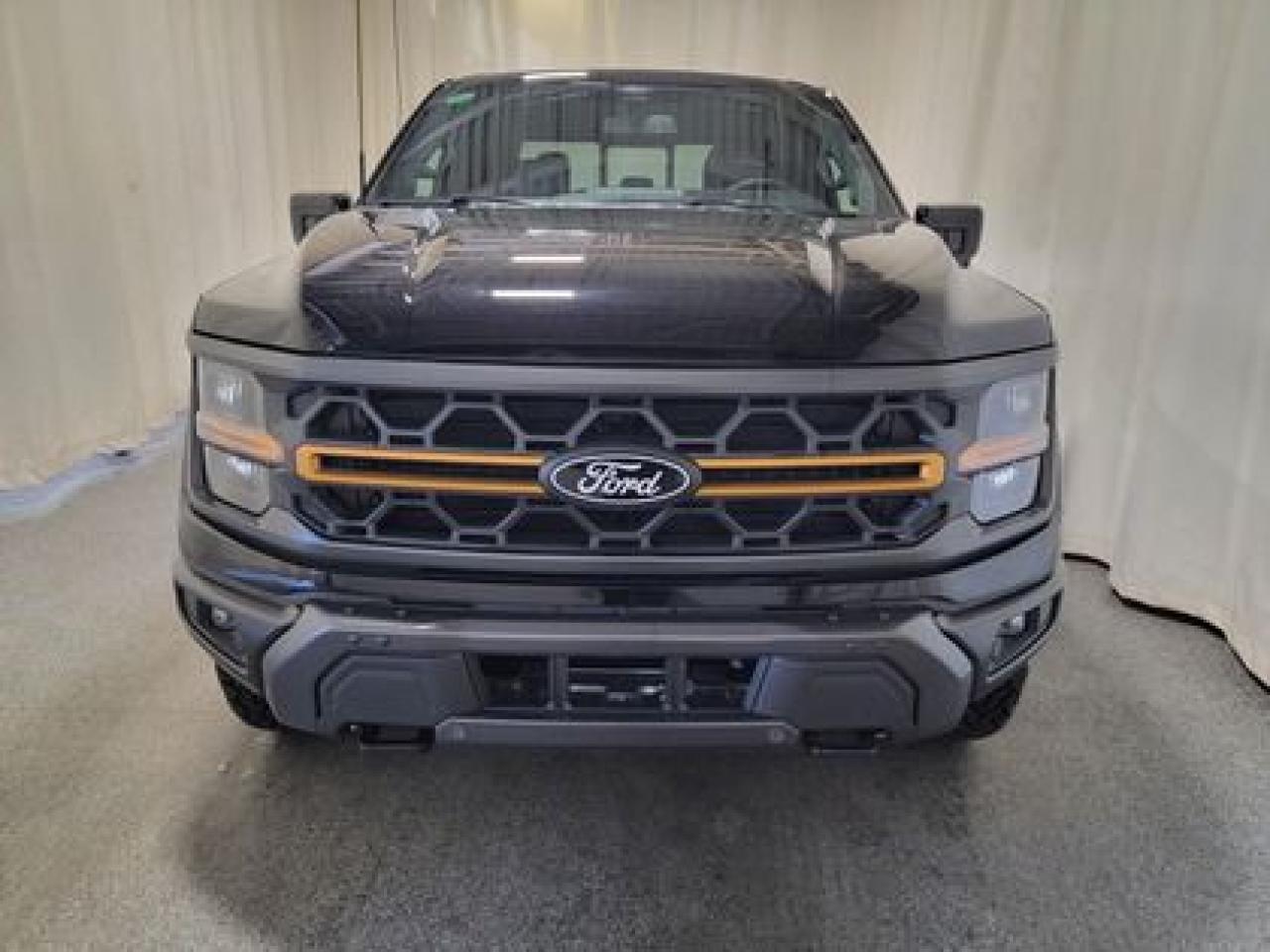 New 2025 Ford F-150 TREMOR W/ REAR VIEW CAMERA for sale in Regina, SK