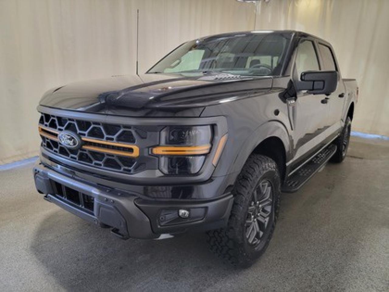 New 2025 Ford F-150 TREMOR W/ REAR VIEW CAMERA for sale in Regina, SK