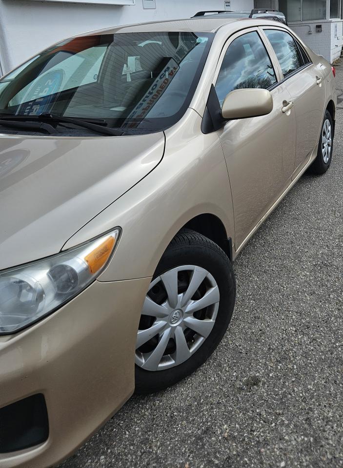2011 Toyota Corolla  - Photo #3
