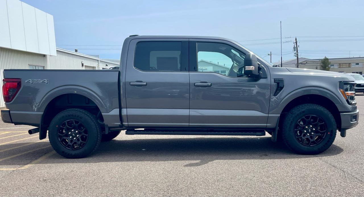 2025 Ford F-150 XLT 4WD SuperCrew 5.5' Box Photo3