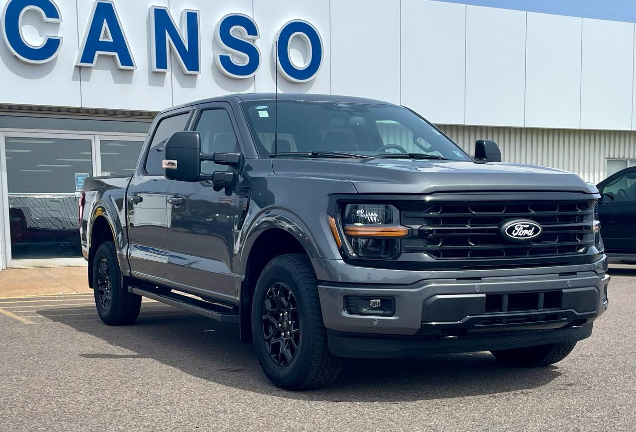 2025 Ford F-150 XLT 4WD SuperCrew 5.5' Box Photo2