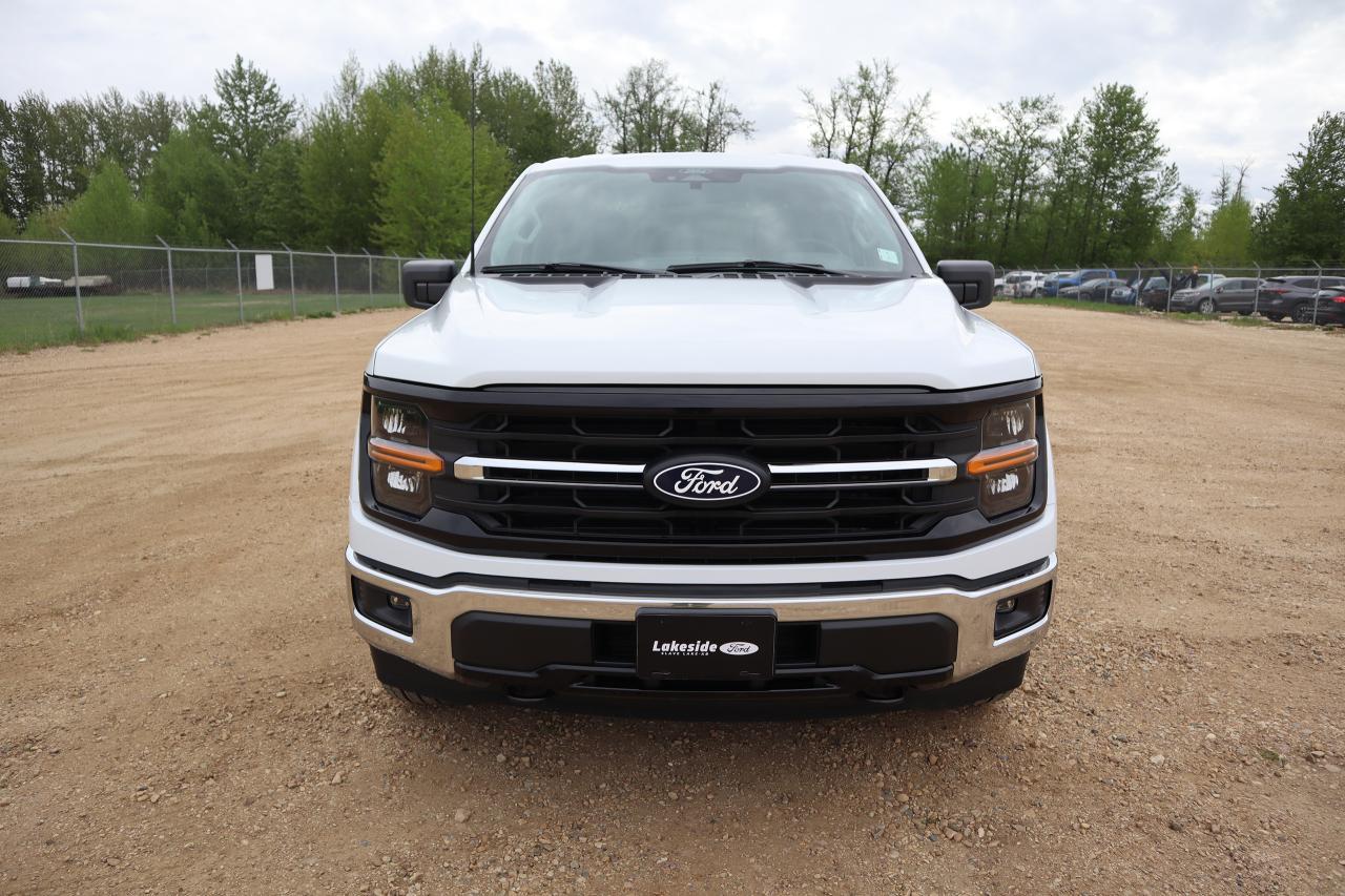 2025 Ford F-150 XLT Photo1