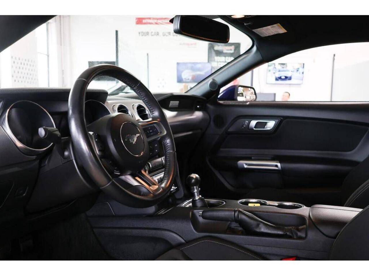 2018 Ford Mustang EcoBoost M/T - NO ACCIDENT|CAMERA|PUSH START - Photo #10