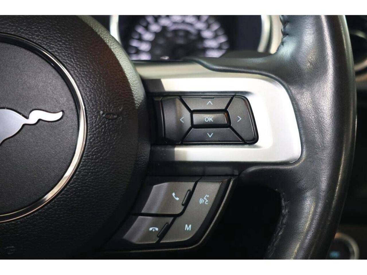 2018 Ford Mustang EcoBoost M/T - NO ACCIDENT|CAMERA|PUSH START - Photo #13