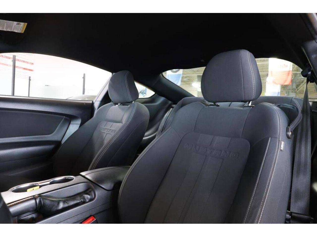 2018 Ford Mustang EcoBoost M/T - NO ACCIDENT|CAMERA|PUSH START - Photo #14