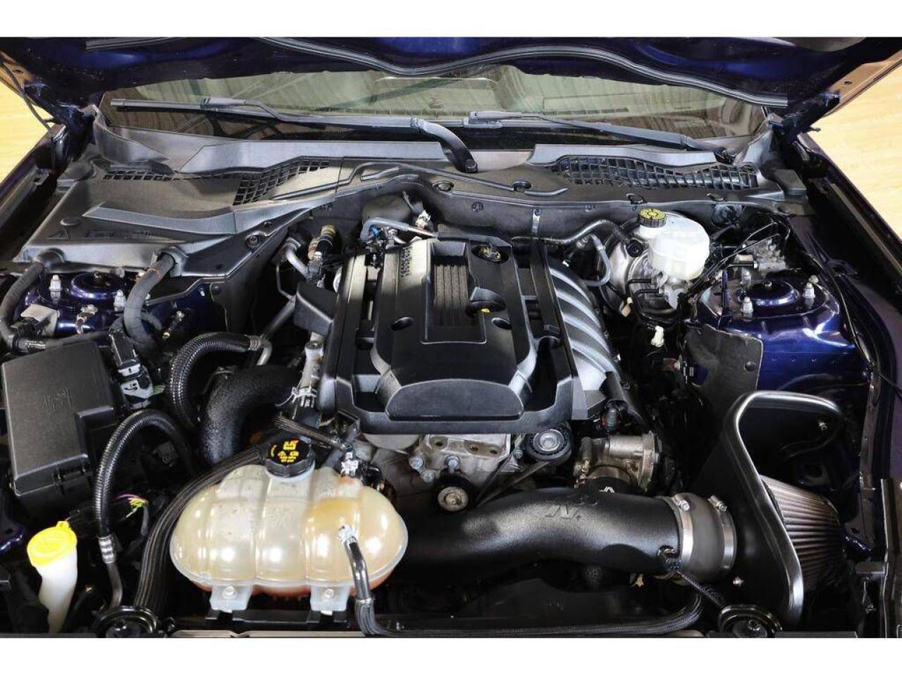 2018 Ford Mustang EcoBoost M/T - NO ACCIDENT|CAMERA|PUSH START - Photo #19