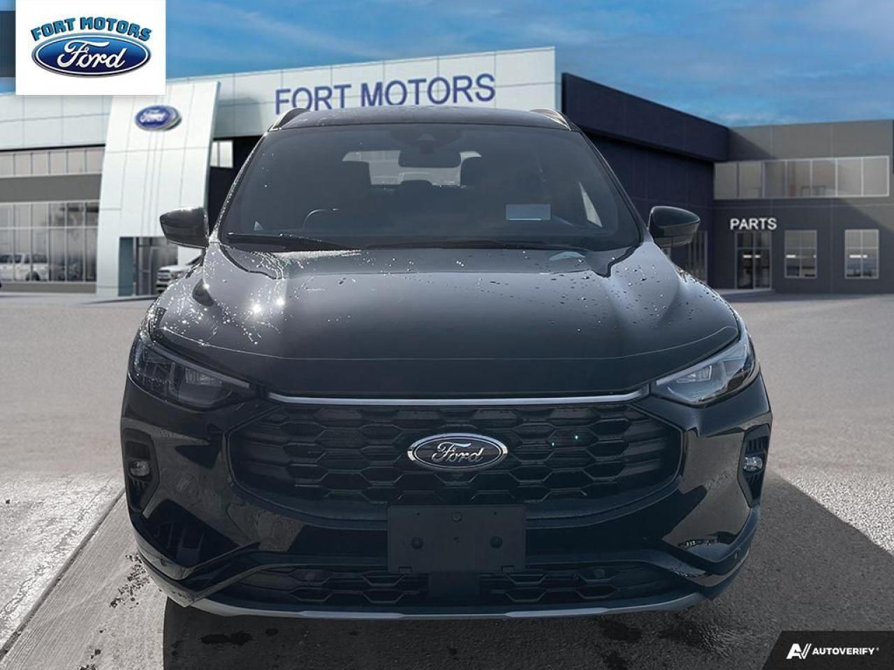 2025 Ford Escape ST-Line Elite Photo