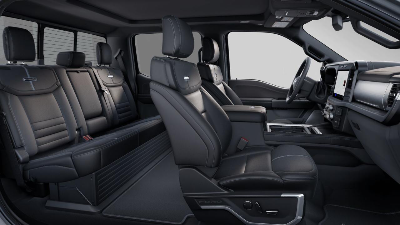 2025 Ford F-350 Super Duty SRW PLATINUM Photo5