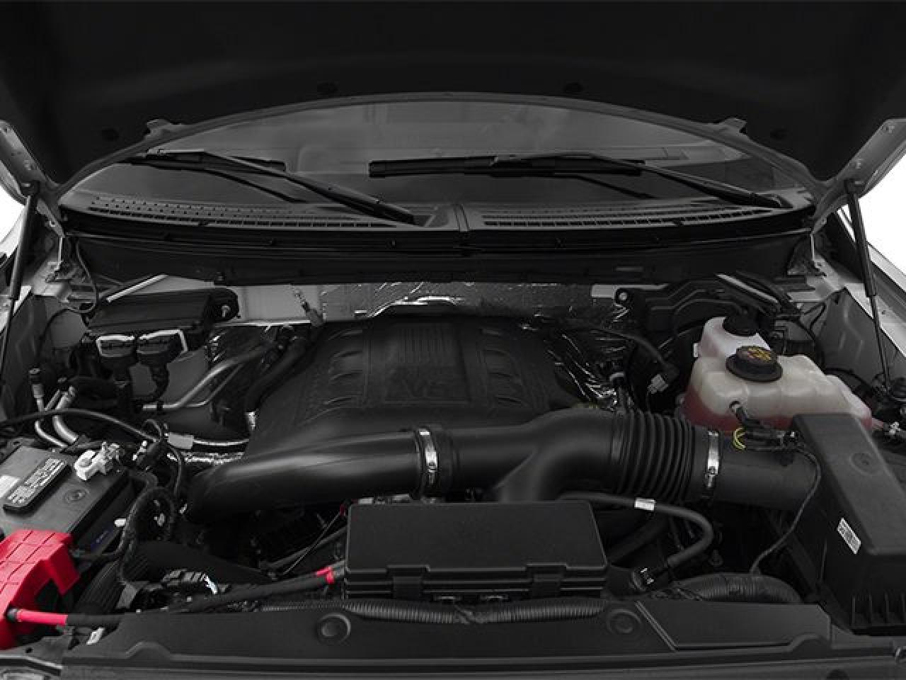 2013 Ford F-150 XLT Photo5