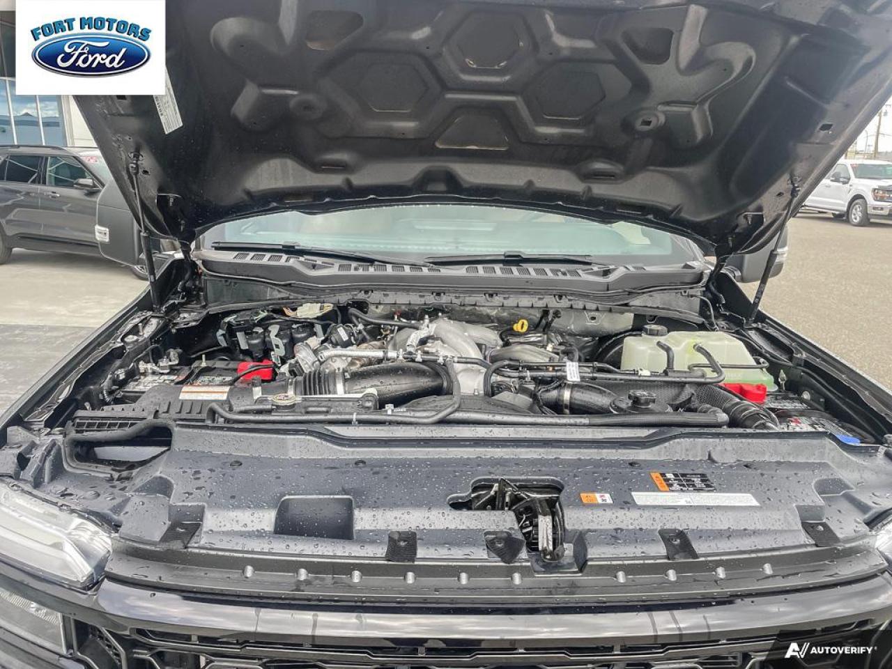 2025 Ford SUPER DUTY F-350 SRW F-350® XLT Photo5