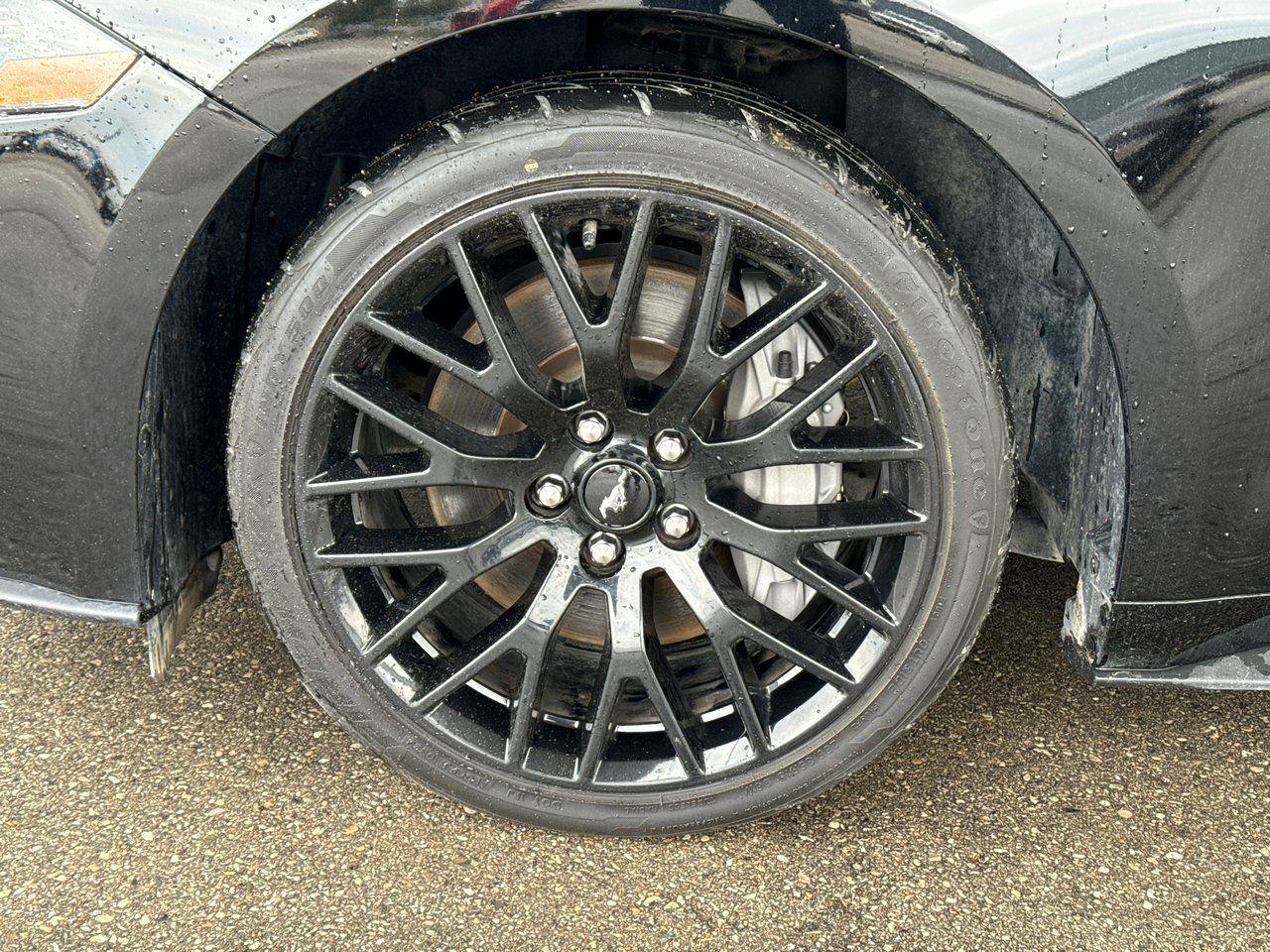 2023 Ford Mustang GT - Photo #10