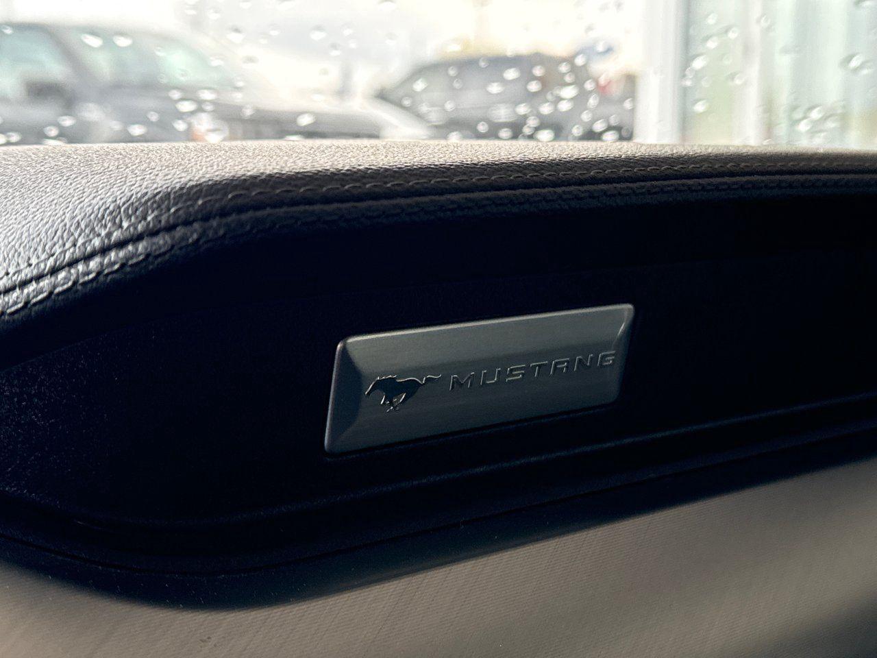 2023 Ford Mustang GT - Photo #25