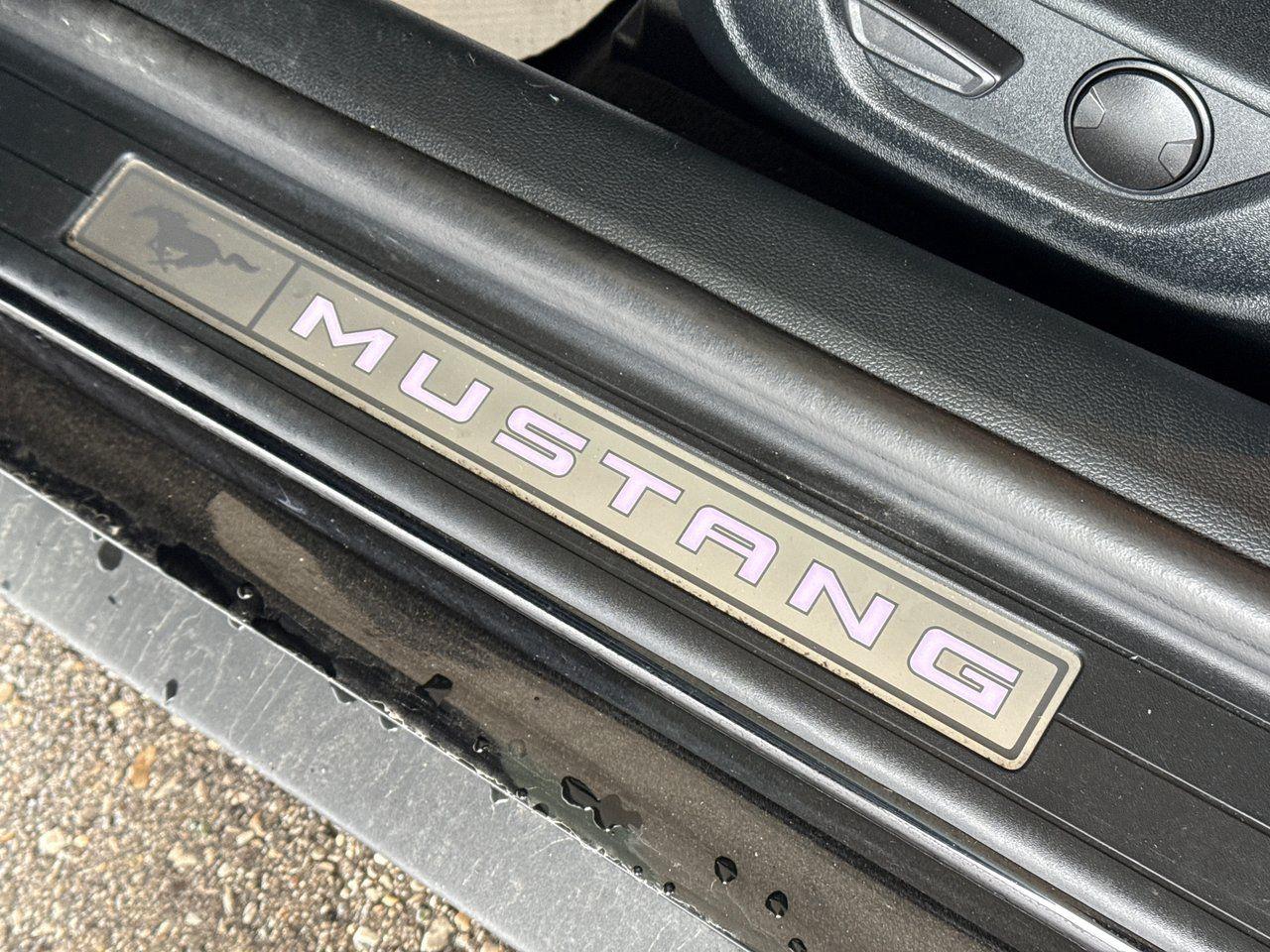 2023 Ford Mustang GT - Photo #27