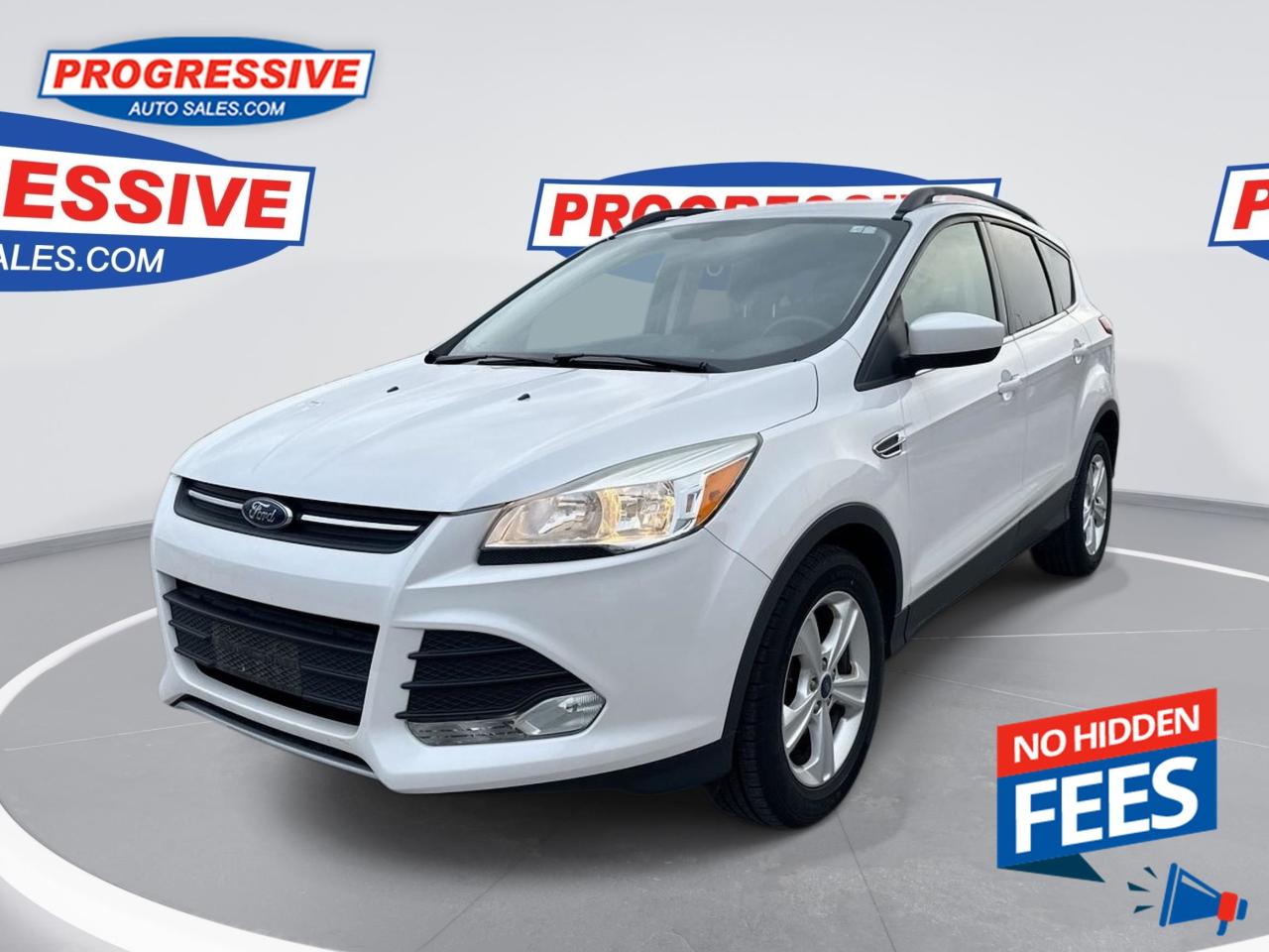 Used 2015 Ford Escape SE for sale in Sarnia, ON
