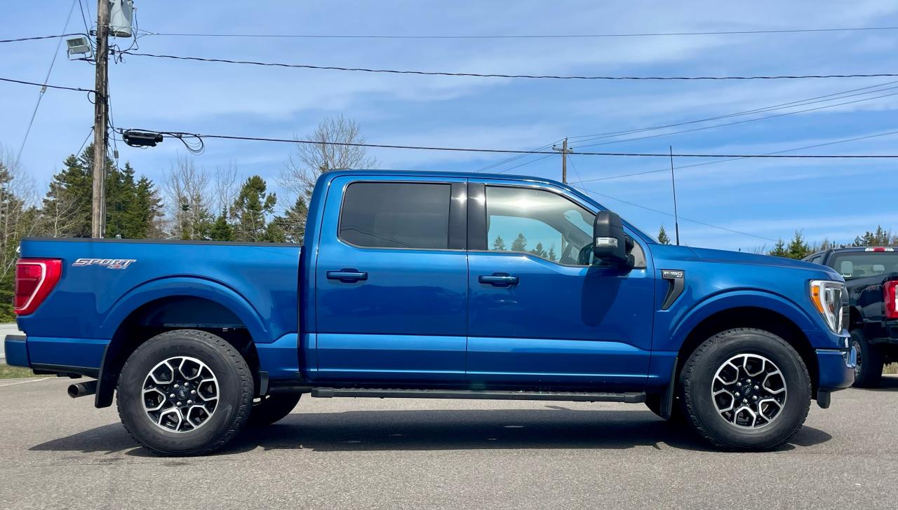 2022 Ford F-150 XLT 4WD SuperCrew 5.5' Bo Photo3