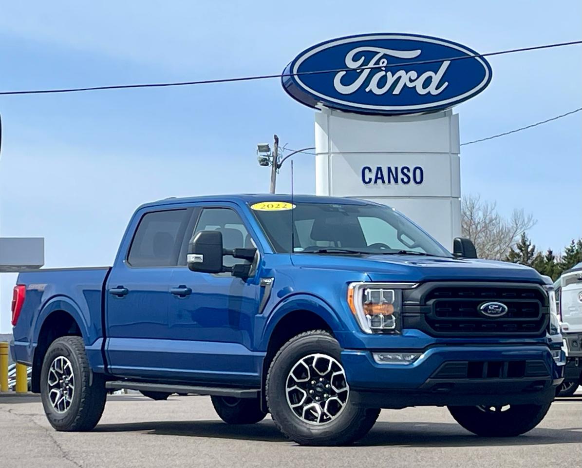 2022 Ford F-150 XLT 4WD SuperCrew 5.5' Bo Photo0