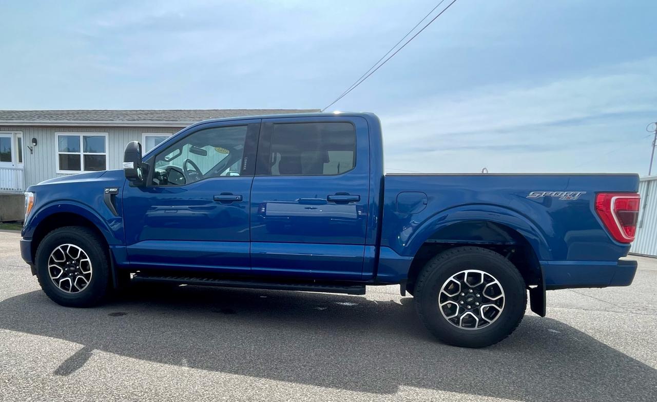 2022 Ford F-150 XLT 4WD SuperCrew 5.5' Bo Photo5