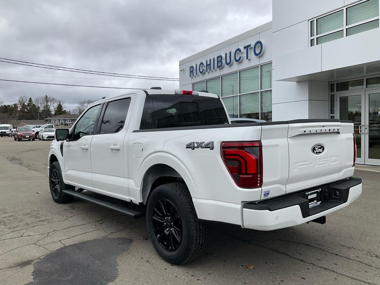 2025 Ford F-150 PLATINUM Photo5